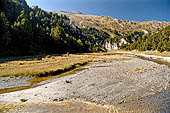 Sentiero naturalistico del Lucomagno (Svizzera). Paesaggio delle golene del Brenno